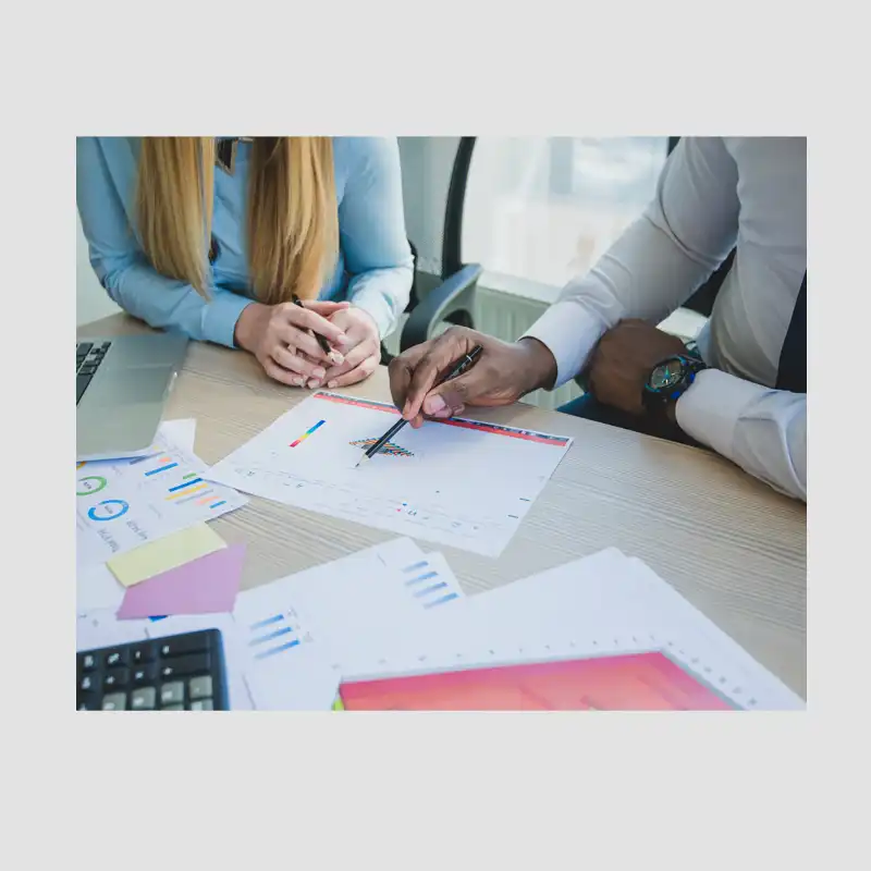 Project Management Division